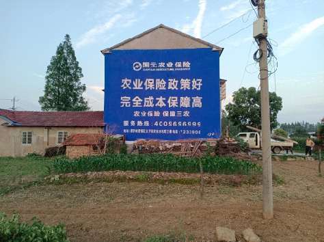 云梦墙体广告的优劣势你知道吗?